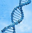 DNA